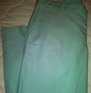 IZOD Mint Green Flat Front Pants